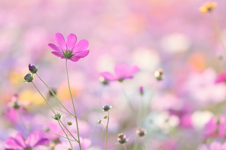 賃貸住宅の経営・運営